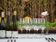Erbacher Marcobrunn Riesling Auslese aus verschiedenen Jahrgängen durfte auf dem Rheingau Gourmet & Wein Festival verkostet werden