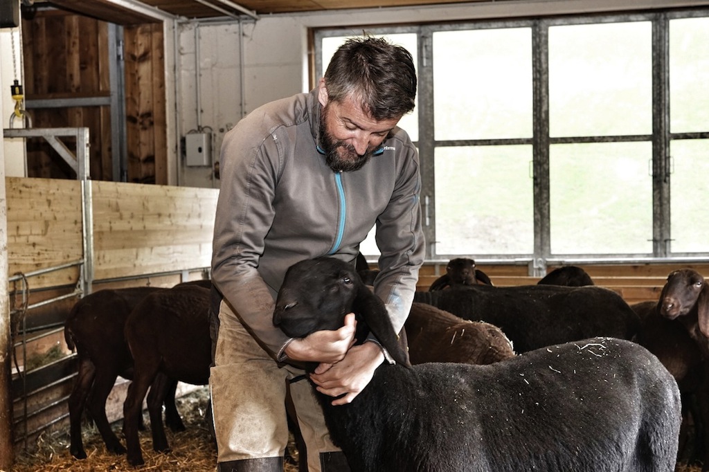 Zwei die sich mögen - Landwirt, Gastronom und Hotelier Peter Zangerl und das liebe Vieh
