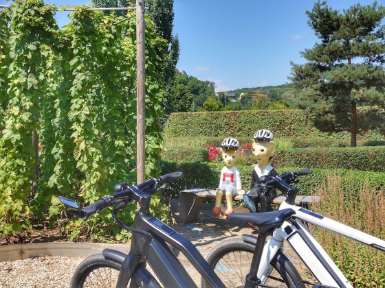 darf ich mit dem fahrrad entgegengesetzt der einbahnstraße fahren