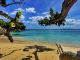 Die Seychellen - hier werden Träume wahr
