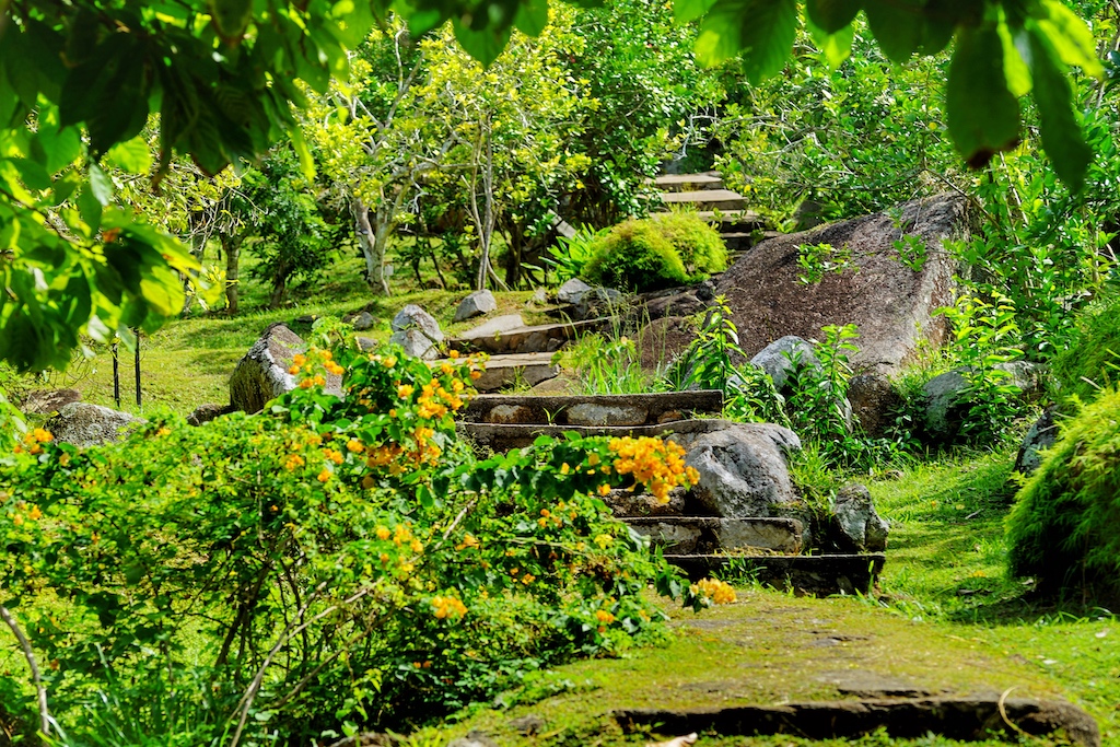 Le Jardin du Roi“ - dem Garten des Königs sollte auf jeden Fall ein Besuch abgestattet werden. Traumhaft gelegen und an jedem Winkel ist Neues zu entdecken