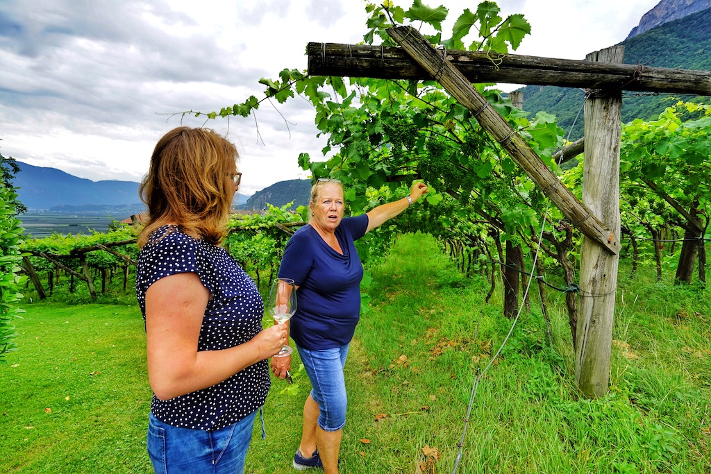 Seit 40 Jahren ist Karin täglich in ihren Weinbergen unterwegs. Das Gut übernahm sie von den Schwiegereltern und glücklicherweise führt ihr Sohn das familiäre Erbe fort