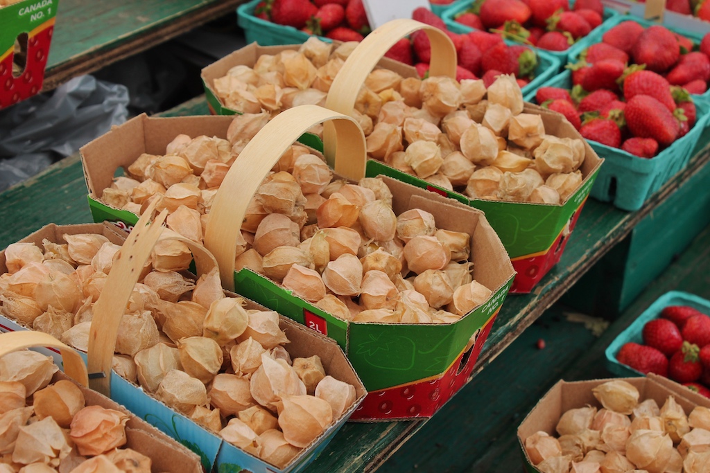 Die leicht süßlich schmeckenden Blasenkirschen haben in Europa eher Seltenheitswert und werden auf dem ByWard Market als Ground Cherries verkauft