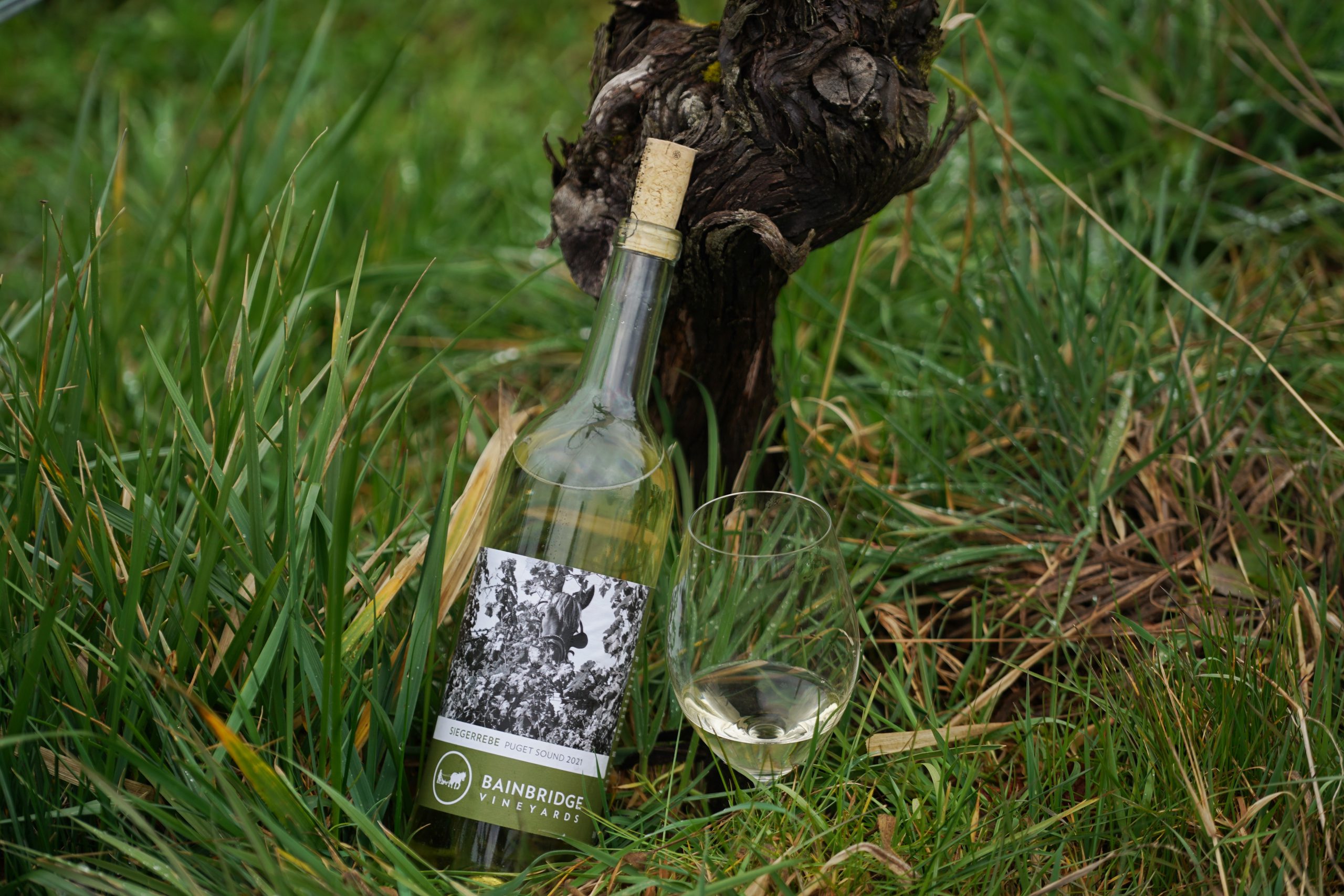 Man glaubt den Geschmack von Bainbridge Island in jedem Glas Wein wiederzufinden