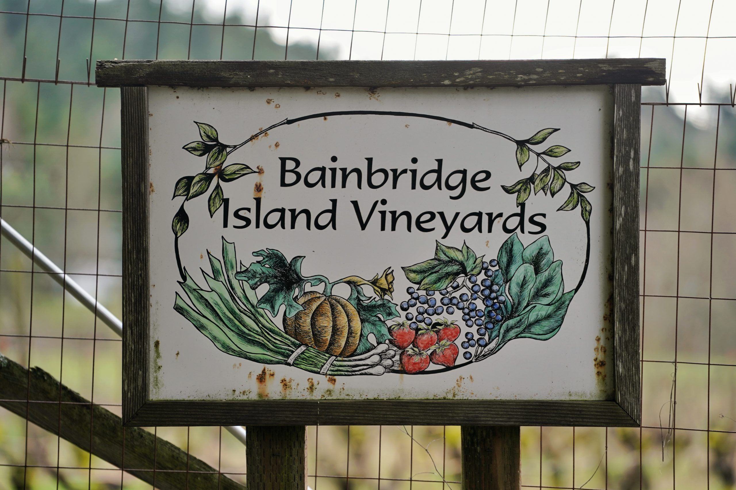 Bainbridge Vineyards seit 2013 unter neuer Führung