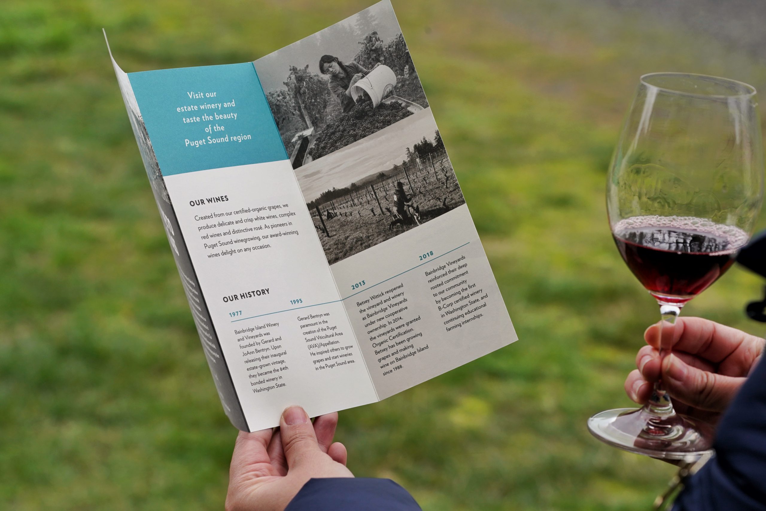 Das Weingut, heute unter dem Namen "Bainbridge Vineyards" aktiv, war das 84 offiziell in Bundessatt Washington zugelassene Weingut