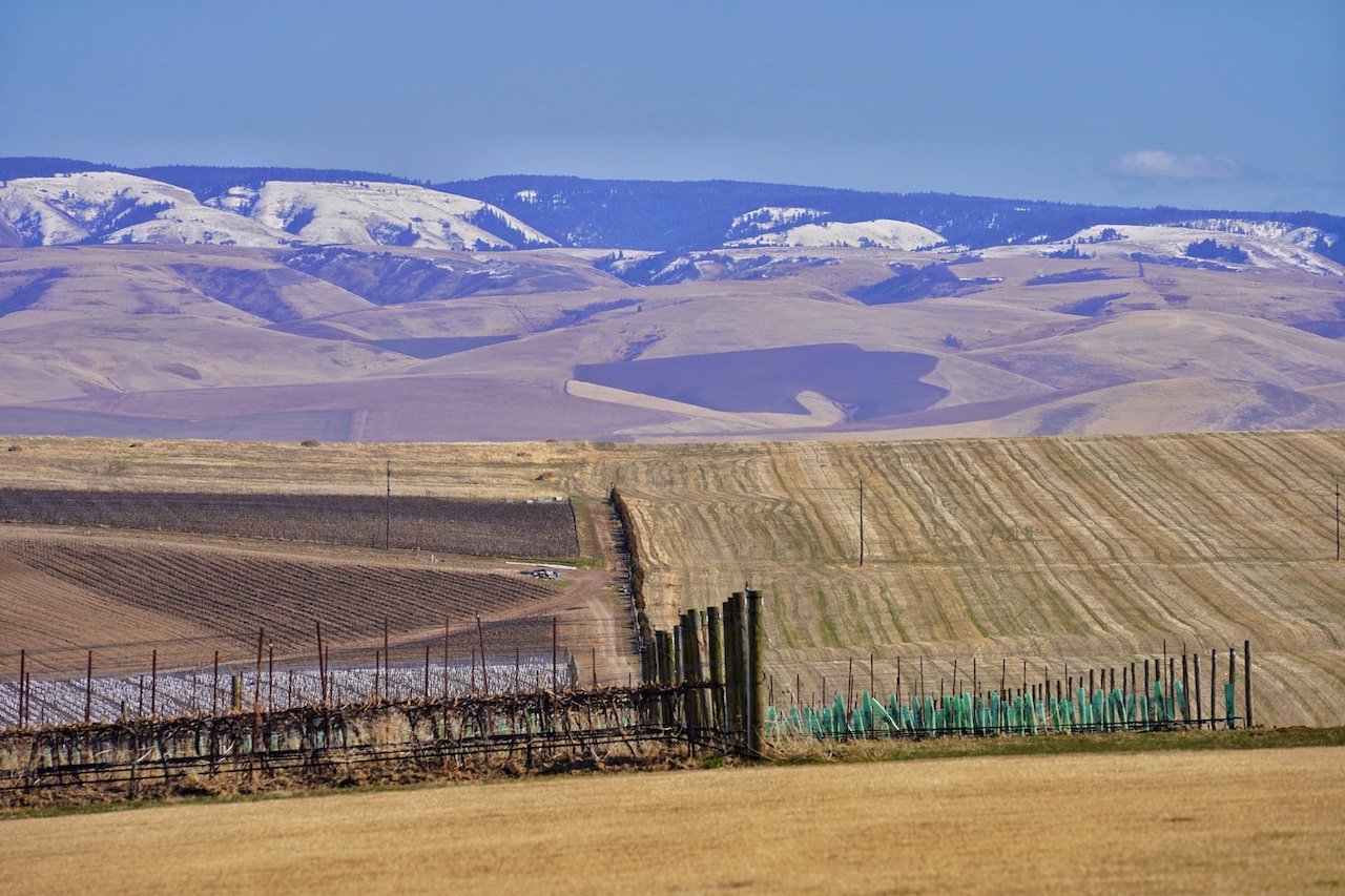 und beste Voraussetzungen für den Weinbau: Walla Walla im Washington State