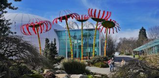 Außergewöhnlich: Chihuly Garden and Glass in Seattle