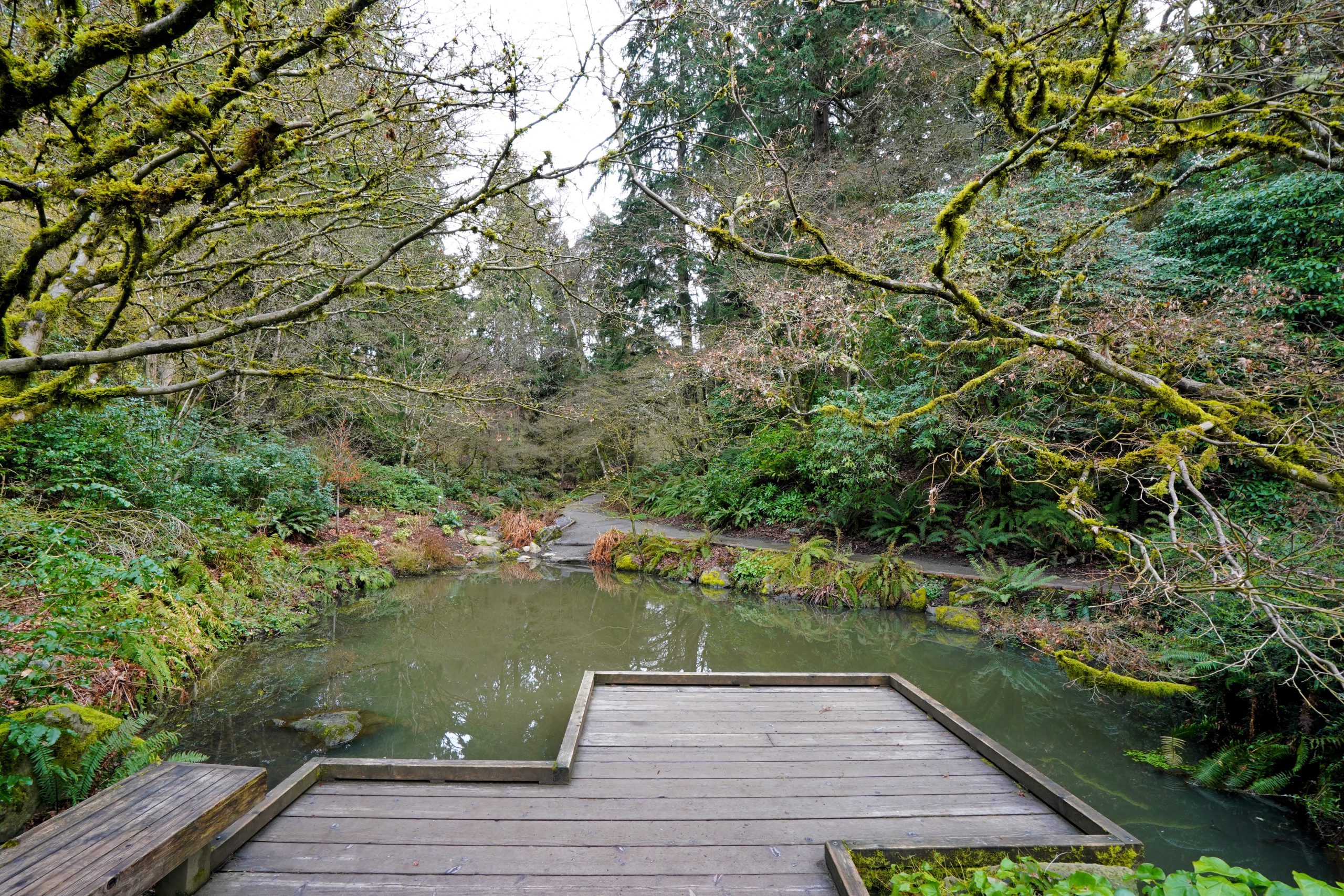 Der kleine Teich ist für eine Pause bei den Besuchern sehr beliebt