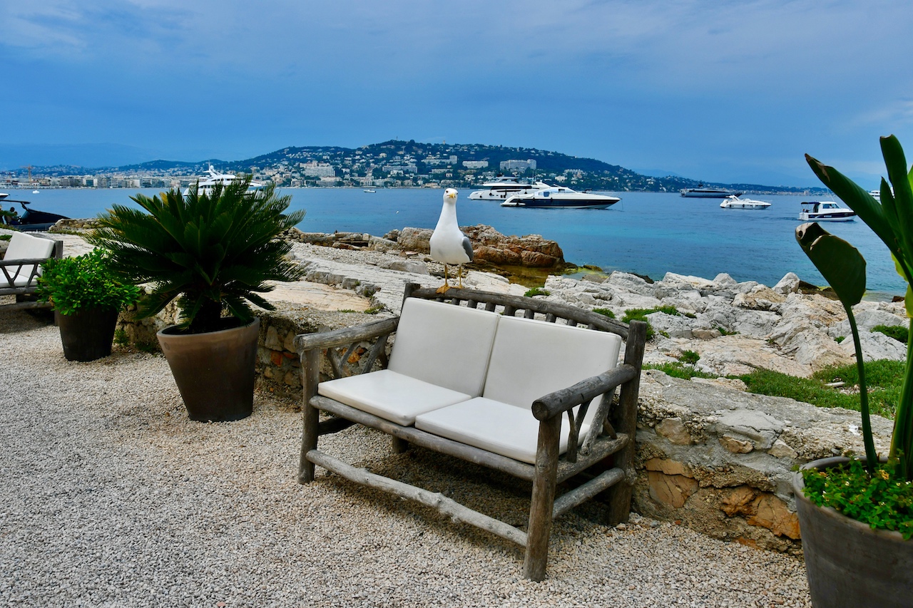 Von der kleinen Insel Sainte Marguerite kann man die Bucht von Cannes überblicken