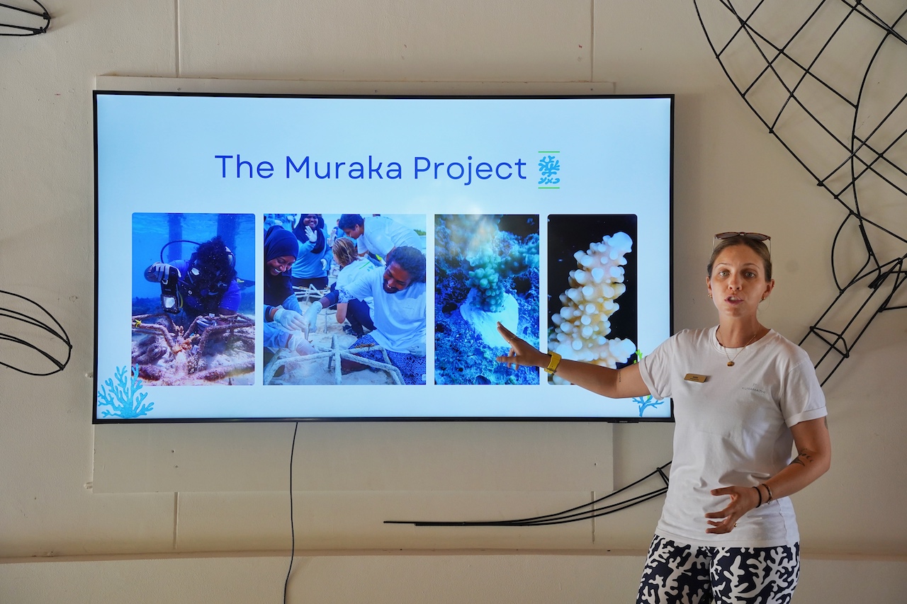 Sara Scroglieri ist renommierte Meeresbiologin mit langjähriger Erfahrung in der Erforschung und Erhaltung der Unterwasserwelt