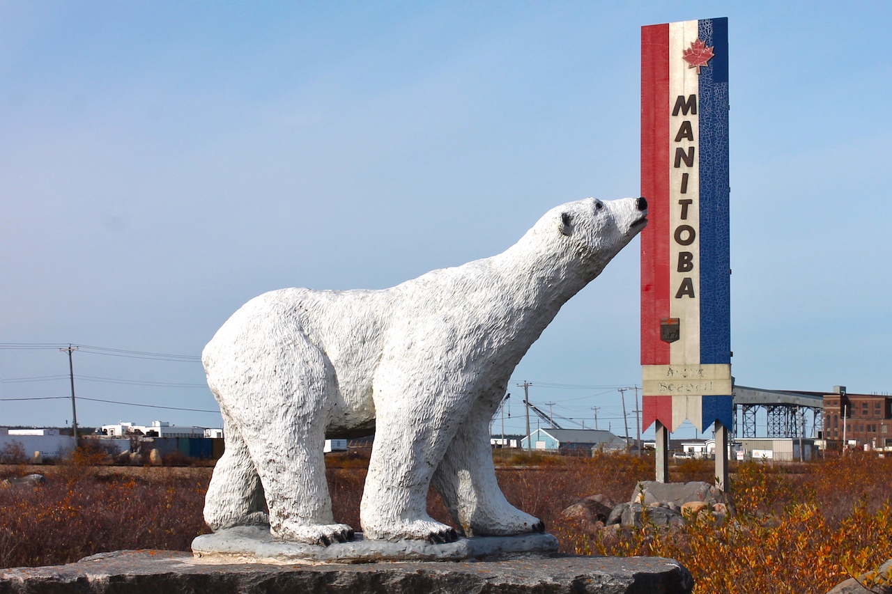 Hier steppt der Bär! In der kanadischen Provinz Manitoba lassen sich Eisbären am besten beobachten