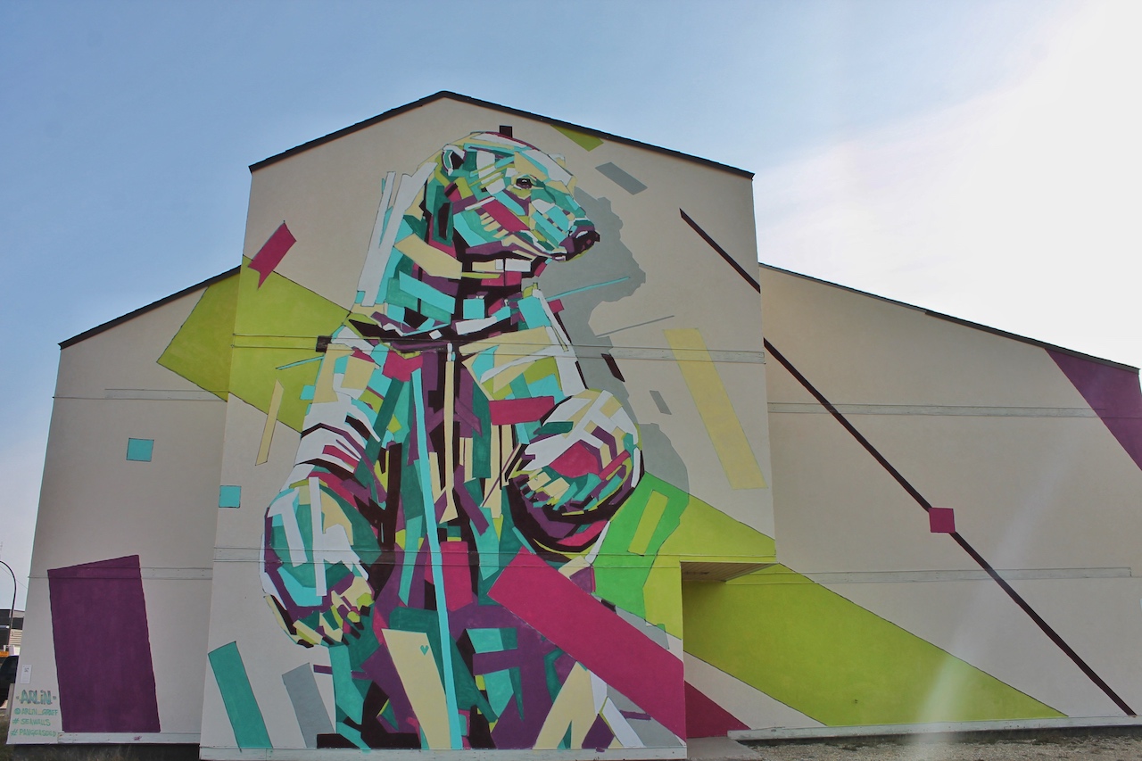 Arlin Graff aus Brasilien will mit kräftigen Farben die Aufmerksamkeit auf sein Mural lenken