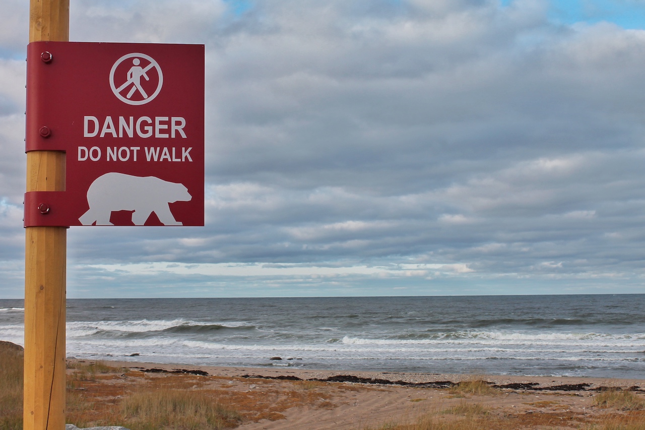 Die Warnhinweise an der Hudson Bay sollten ernst genommen werden, wenn man sich nicht mit einem Eis-, Grizzly-, Grolar- oder Pizzylbären anlegen will