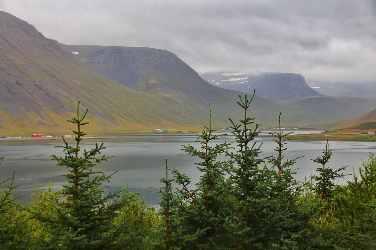 Die Ufer von Isafjordur laden zum ausgiebigen Wandern ein – die Aussicht auf schneebedeckte Berge inklusive