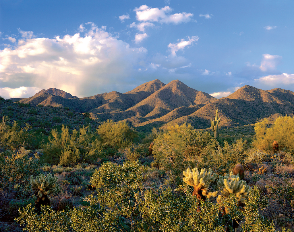 Das McDowell Sonoran Preserve besteht aus den McDowell Bergen und der Sonora-Wueste